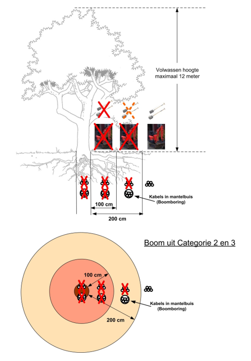 afbeelding binnen de regeling